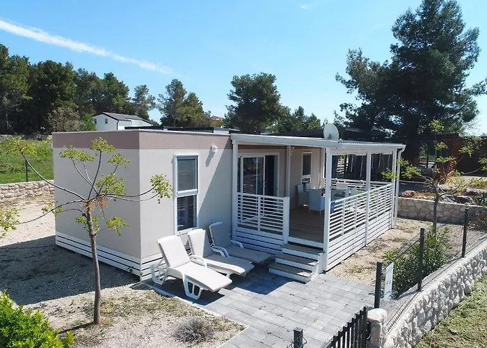 Camp Ana